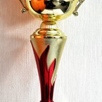 Кубок за 1 место в первенстве по футболу 2013